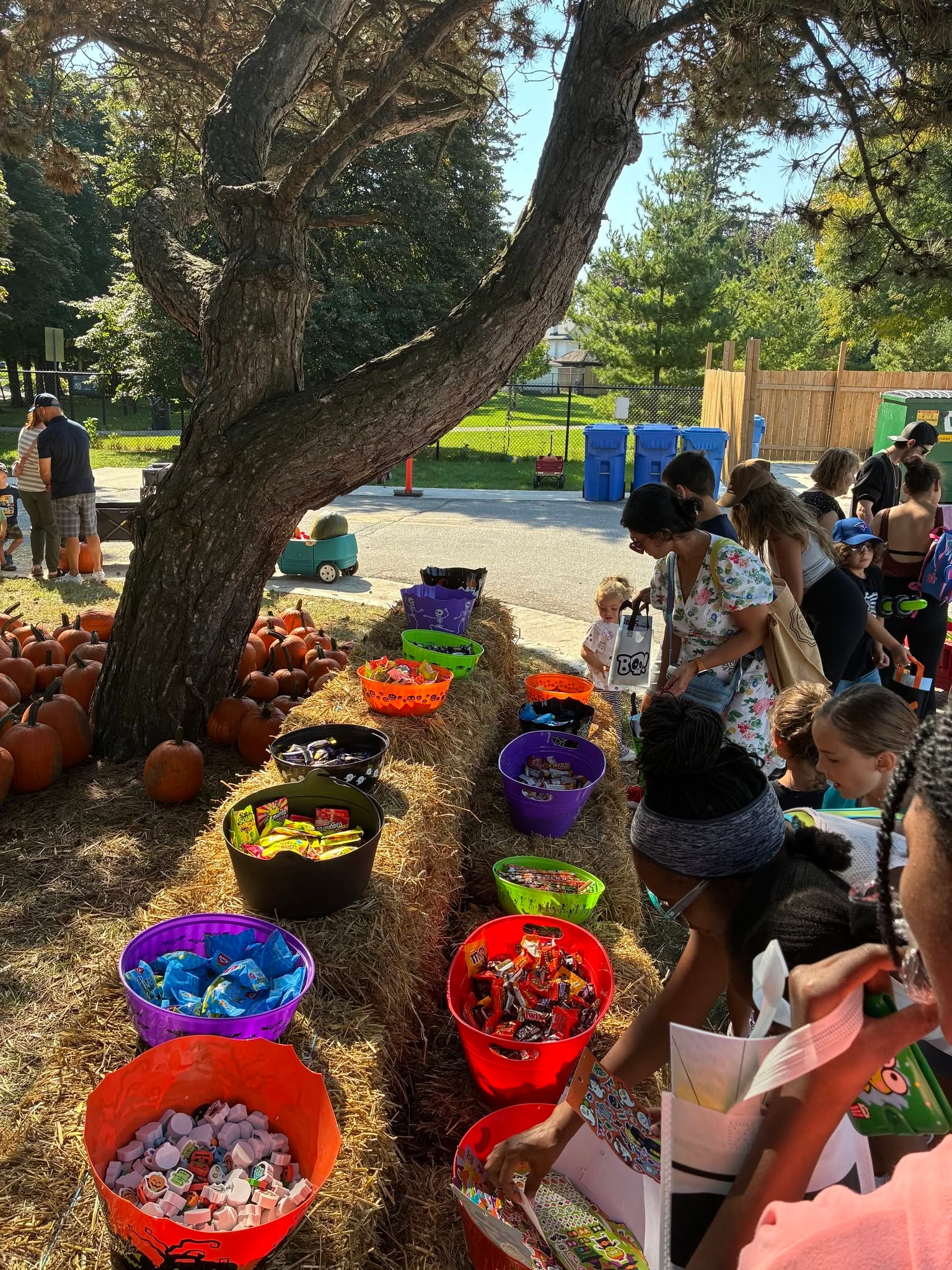 Colourful candy and treat buckets on hay bales at the Sherway Pumpkin event