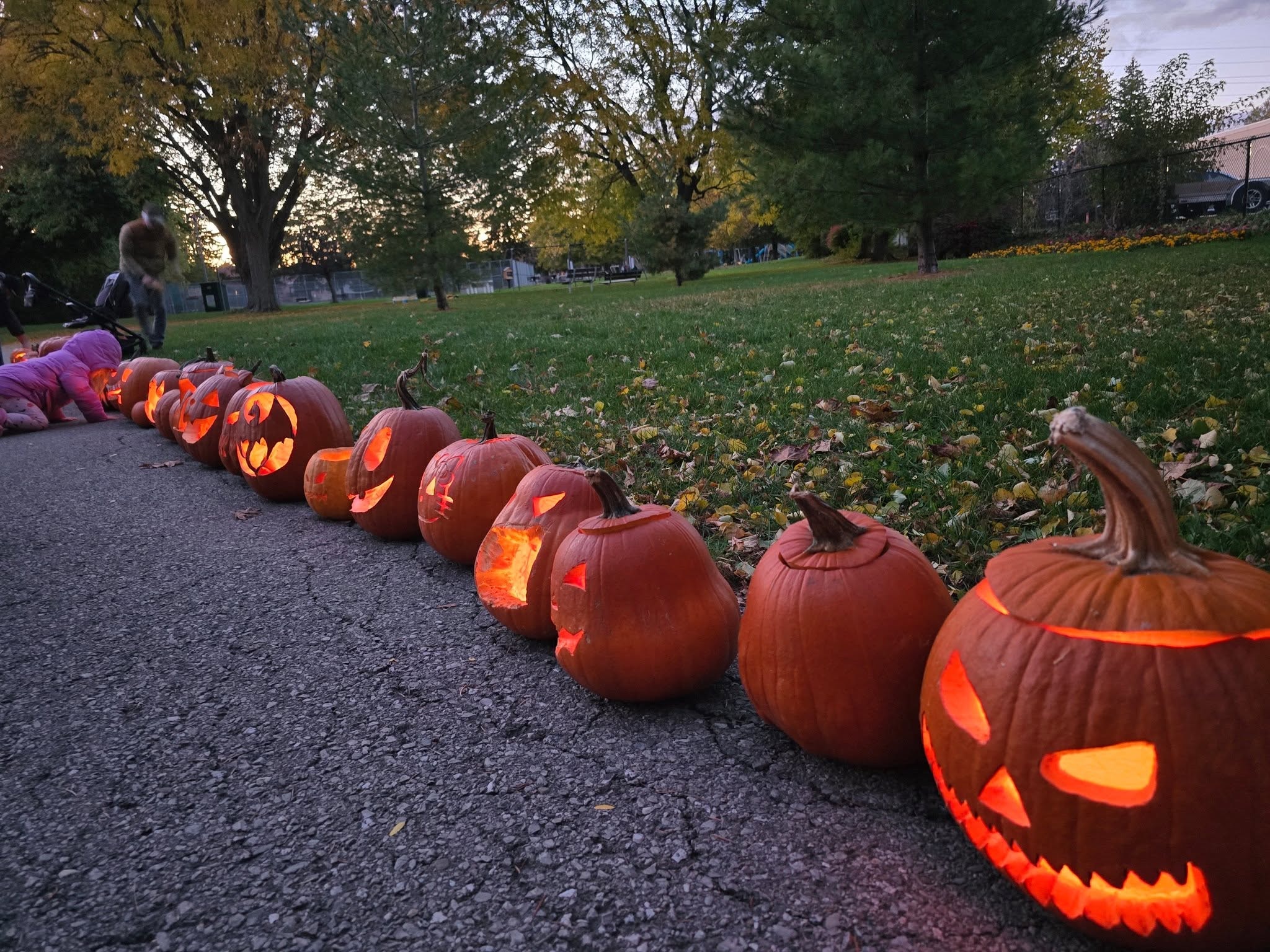 A row of carved and glowing jack-o'-lanterns along the park pathway at dusk with families in the background
